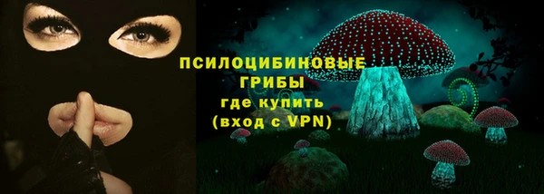 apvp Магадан