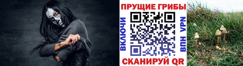 Галлюциногенные грибы Magic Shrooms  ссылка на мегу вход  Белокуриха 